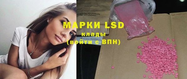 тгк Новодвинск