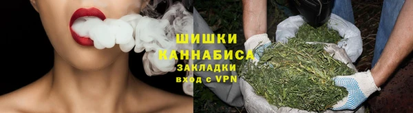 тгк Новодвинск