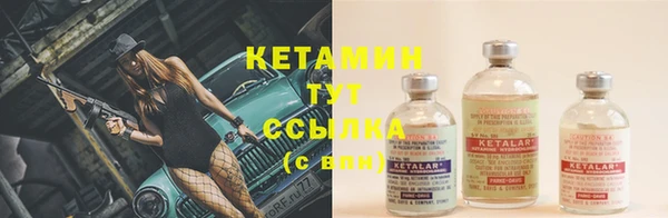 тгк Новодвинск