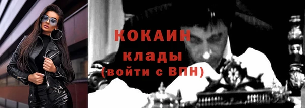 бошки Новозыбков