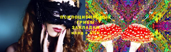 тгк Новодвинск