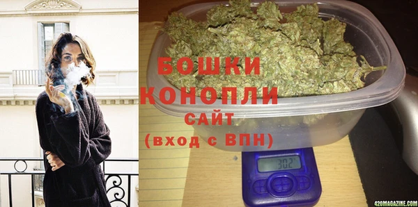 бошки Новозыбков