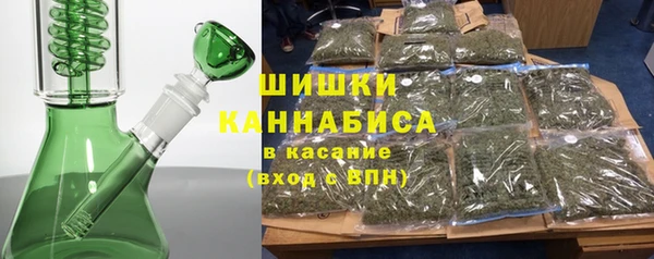 тгк Новодвинск