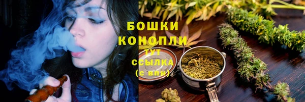 бошки Новозыбков