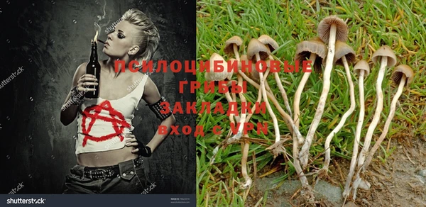 бошки Новозыбков