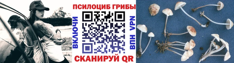 купить закладку  Тайга  МЕГА рабочий сайт  Галлюциногенные грибы мицелий 